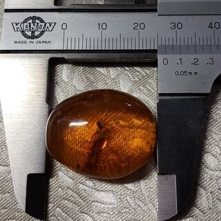 超レアな お宝 発見 天然 琥珀 虫入り アンバー リング 加工 ペンダント 加工 ブローチ 加工 承りますの画像