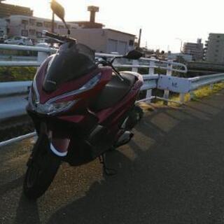 PCX125 自賠1年4月 ｸﾞﾘｯﾌﾟﾋｰﾀｰの画像