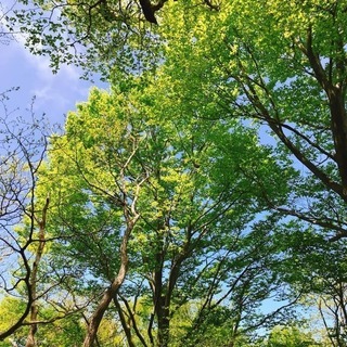 初心者のための登山・ハイキング - 坂井市