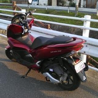 PCX125 2020年時新車 自賠1年4月 ｸﾞﾘｯﾌﾟﾋｰﾀｰ付きの画像