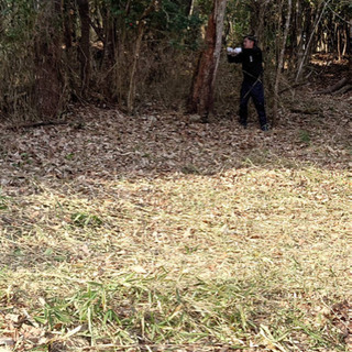 山林、里山