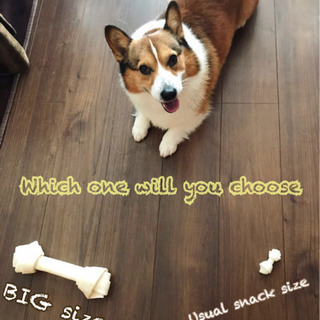 犬友🐕 - 岩沼市