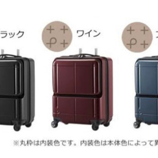 【新品】希少人気色！最安値！ACE PROTeCA プロテカ M...