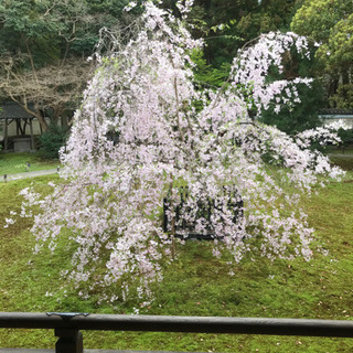 お友達募集