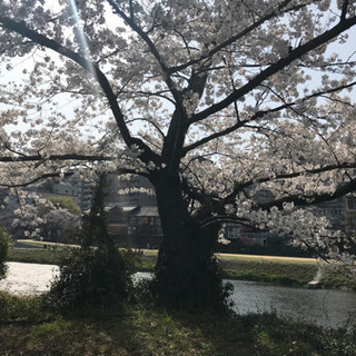 お友達募集 - メンバー募集