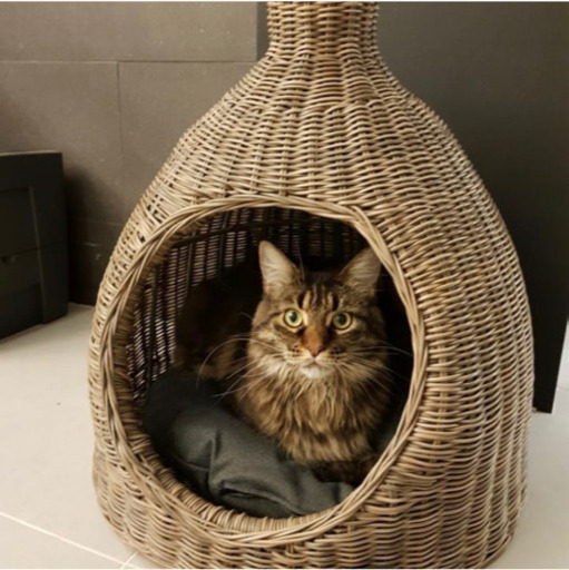 [展示品]人工ラタン素材のペットハウス