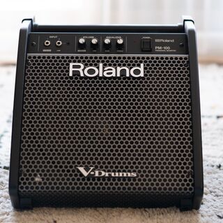 ROLAND PM100 モニタースピーカー Amazon | Roland ローランド パーソナルモニター PM-100
