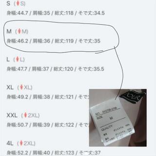 決定【定価16,280円】プールヴー オフショル マキシ/ミモレ丈ドレス Mサイズの画像