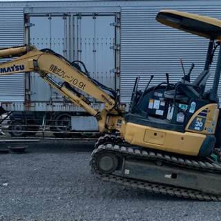 パキポディウム 恵比寿笑い② 輸入株発根済み