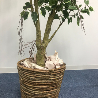 【観葉植物】造花　フェイクグリーン　約170cmの画像