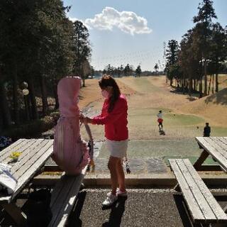 平日メンバー募集⛳　ピピゴルフ