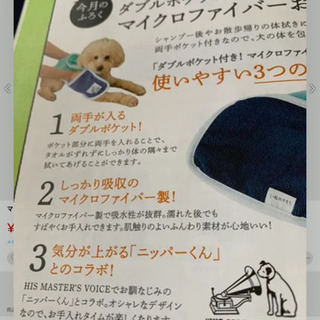 いぬのきもち