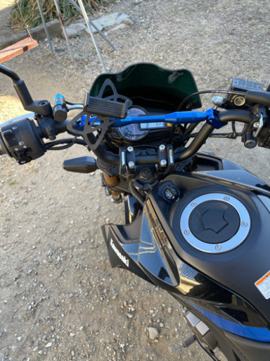 z125pro スペシャルエディション　2017？