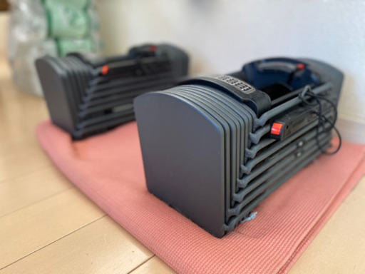 可変式ダンベル&インクラインベンチ 引取り限定