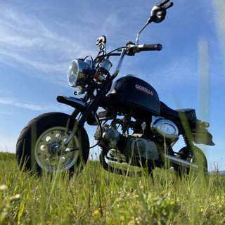 z50j☆ゴリラ☆4mini☆走り屋☆暴走族の画像