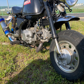 z50j☆ゴリラ☆4mini☆走り屋☆暴走族の画像