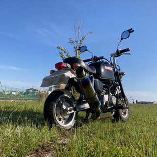 z50j☆ゴリラ☆4mini☆走り屋☆暴走族の画像