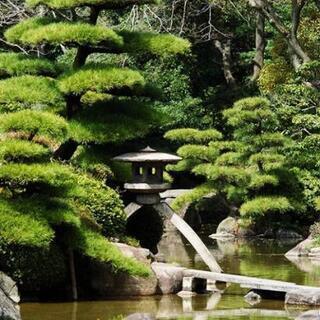 お庭の事なら☆