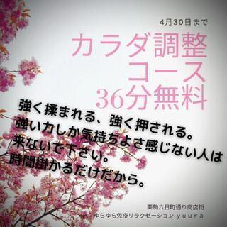 強く押される、強く揉まれることにしか気持ちよさを感じない人は絶対...