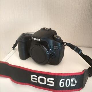 Canon eos 60d ボディ