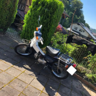 スーパーカブ50改　c50 車体　エンジン中華110cc 取りこれる方の画像