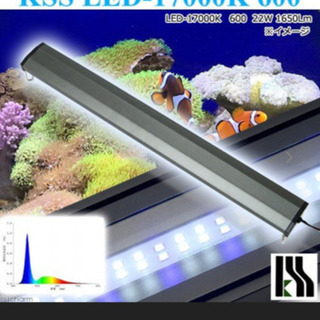 鑑賞魚　照明　ライト　LED 60センチから75センチ
