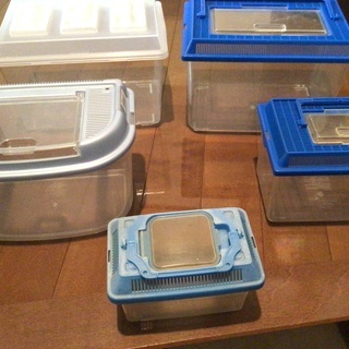 虫カゴセット