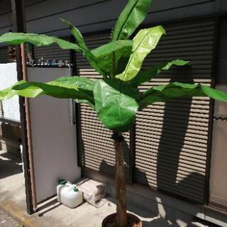 観葉植物　バナナツリー　バナナの木　フェイク　フェイクグリーン　造花　南国　アジアンの画像