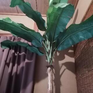 観葉植物　バナナツリー　バナナの木　フェイク　フェイクグリーン　造花　南国　アジアンの画像