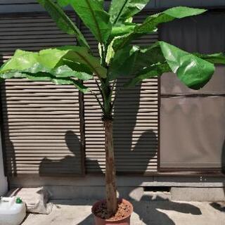 観葉植物　バナナツリー　バナナの木　フェイク　フェイクグリーン　...