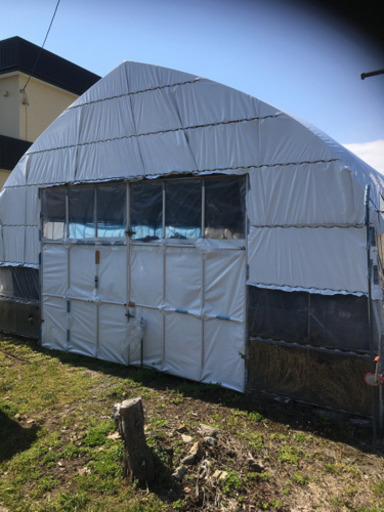 決まりました！