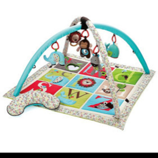 スキップホップ　プレイジムの画像