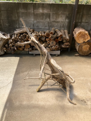 舞踏をしているような流木