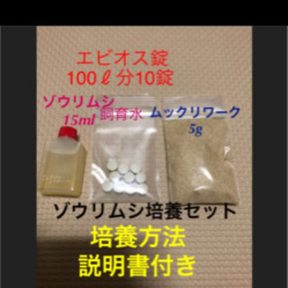 ゾウリムシ　培養セットの画像