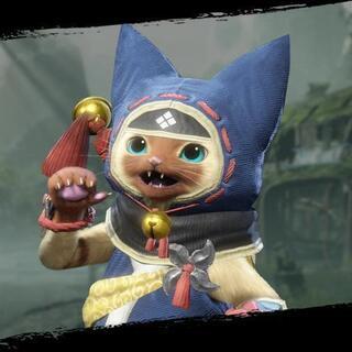 モンハンライズ　どさんこハンターズ！