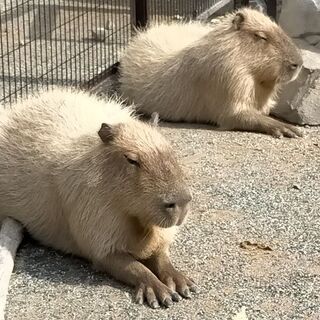 平日の火水曜日休みの方いますか？ - 浜松市