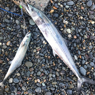 わくわく✨春の能登沖フィッシング‼️🎣