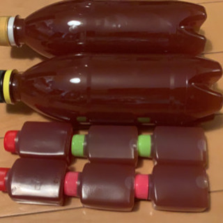 自家製濃縮培養 PSB 70cc エビオスオマケの画像