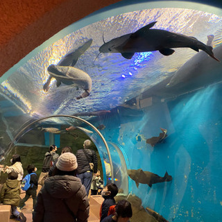 動物園&水族館が好きな人、一緒に行きましょう！