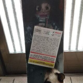 値下げしますスケボー　新品　少し短いので子供用かもの画像