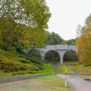 ☆カメラ仲間募集してます☆（一眼レフ、ミラーレス、フィルムカメラ） − 愛媛県