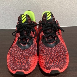 アディダス adidas スニーカー alphabounce em WC メンズ 美品の画像