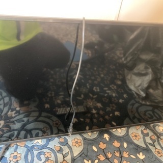 42型　液晶テレビ