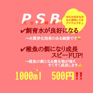 【凪メダカ】自家培養光合成細菌（PSB）1リット