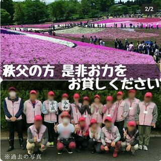 【期間限定 4/16(金)～5/5(水)】秩父＜羊山公園 芝桜＞のご案内スタッフ大募集の画像