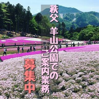 【期間限定 4/16(金)～5/5(水)】秩父＜羊山公園 芝桜＞...