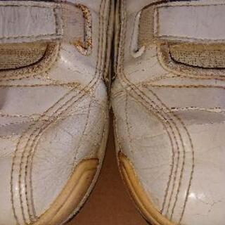 男性用スポーツシューズの画像