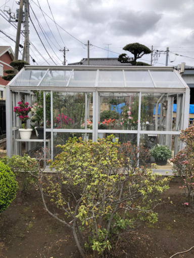 ガラス温室(値下げ.再掲載)