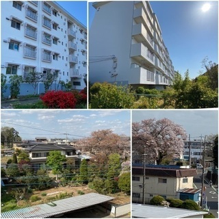■家具/インテリア付、窓から桜・富士山★テレワーク時代の新生活提案　61㎡ 6.5万円/月 ◆敷金礼金・手数料ゼロ◆４階角部屋、日当り・風通し良好！広くて綺麗。 − 埼玉県
