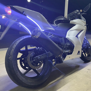 カワサキ　ニンジャ250R　車　バイク　の画像